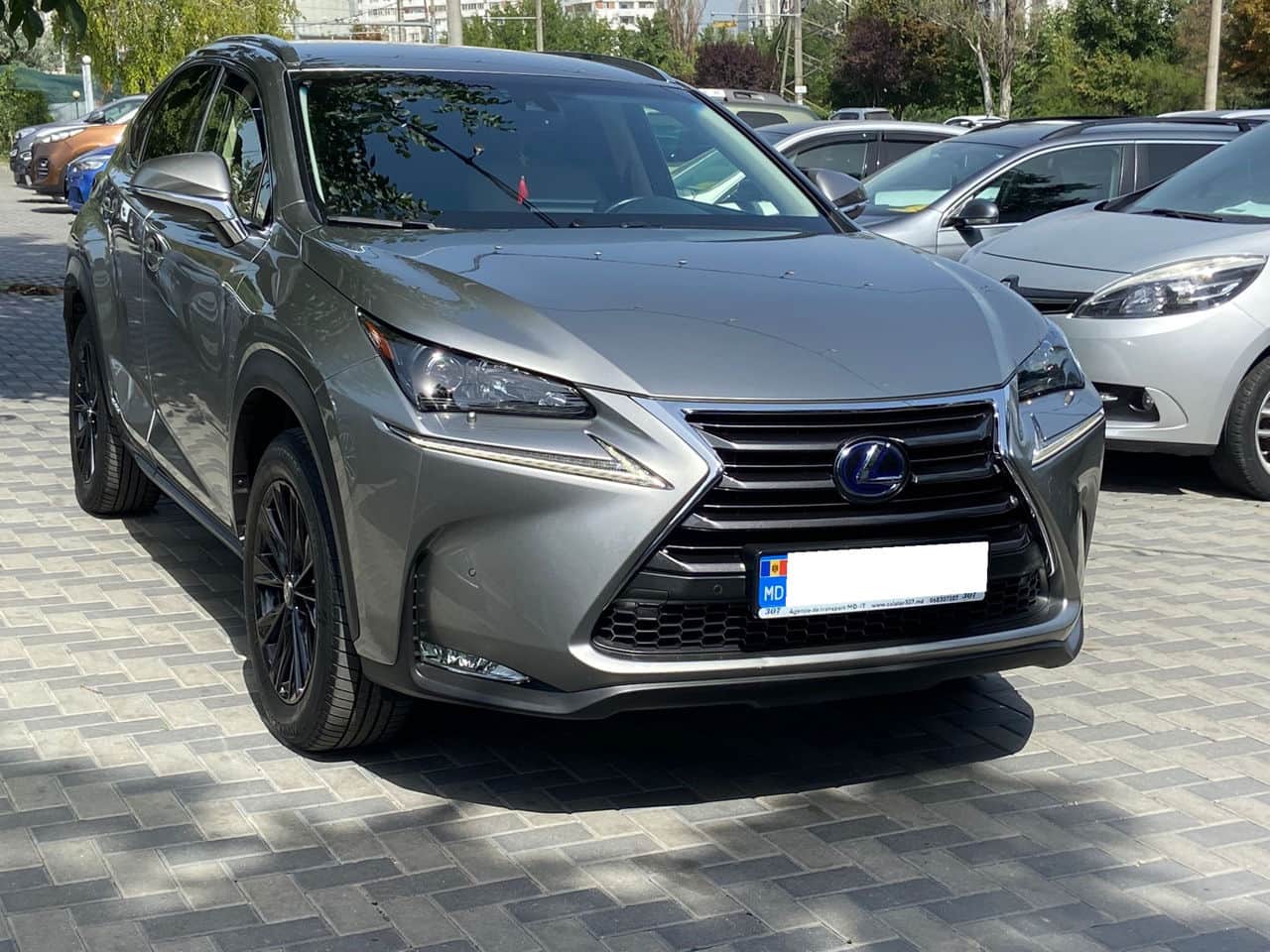 2016 Lexus NX 300H