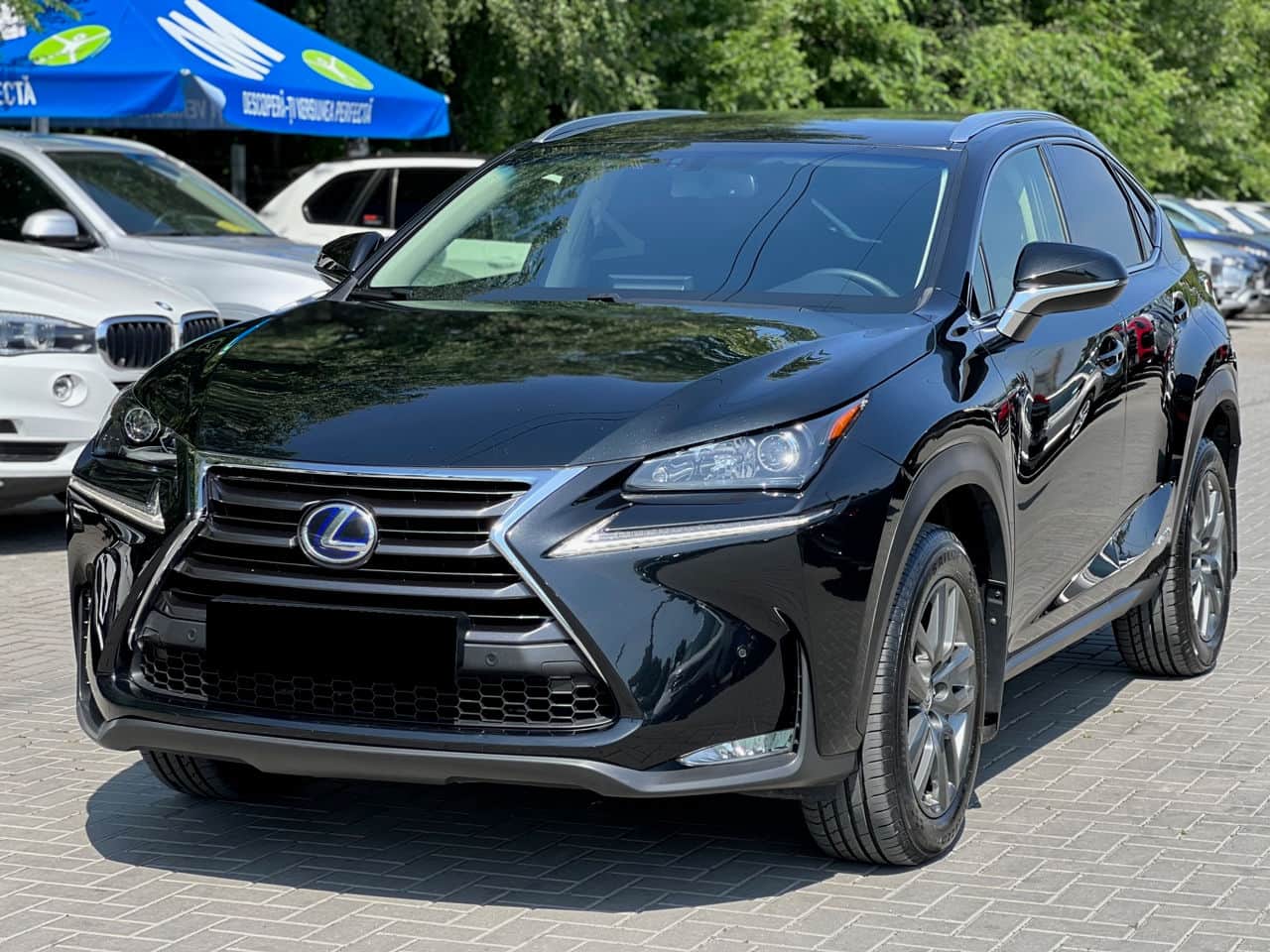 2017 Lexus NX 300H