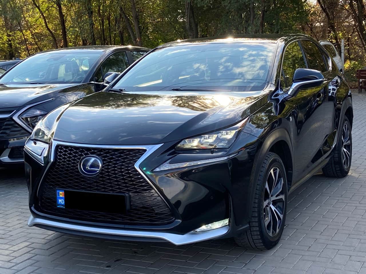 2017 Lexus NX 300H