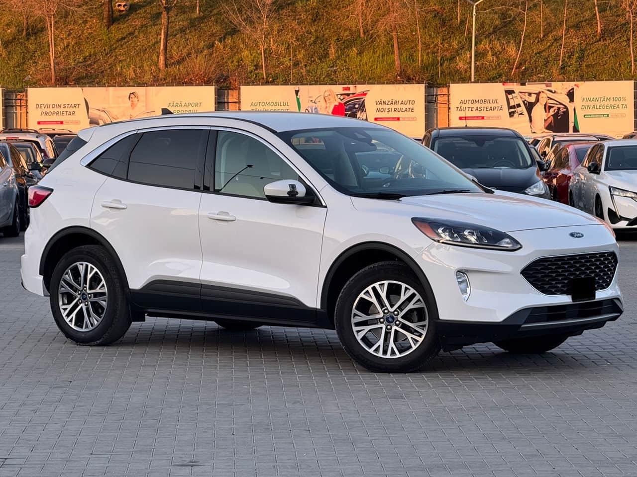 2022 Ford Escape