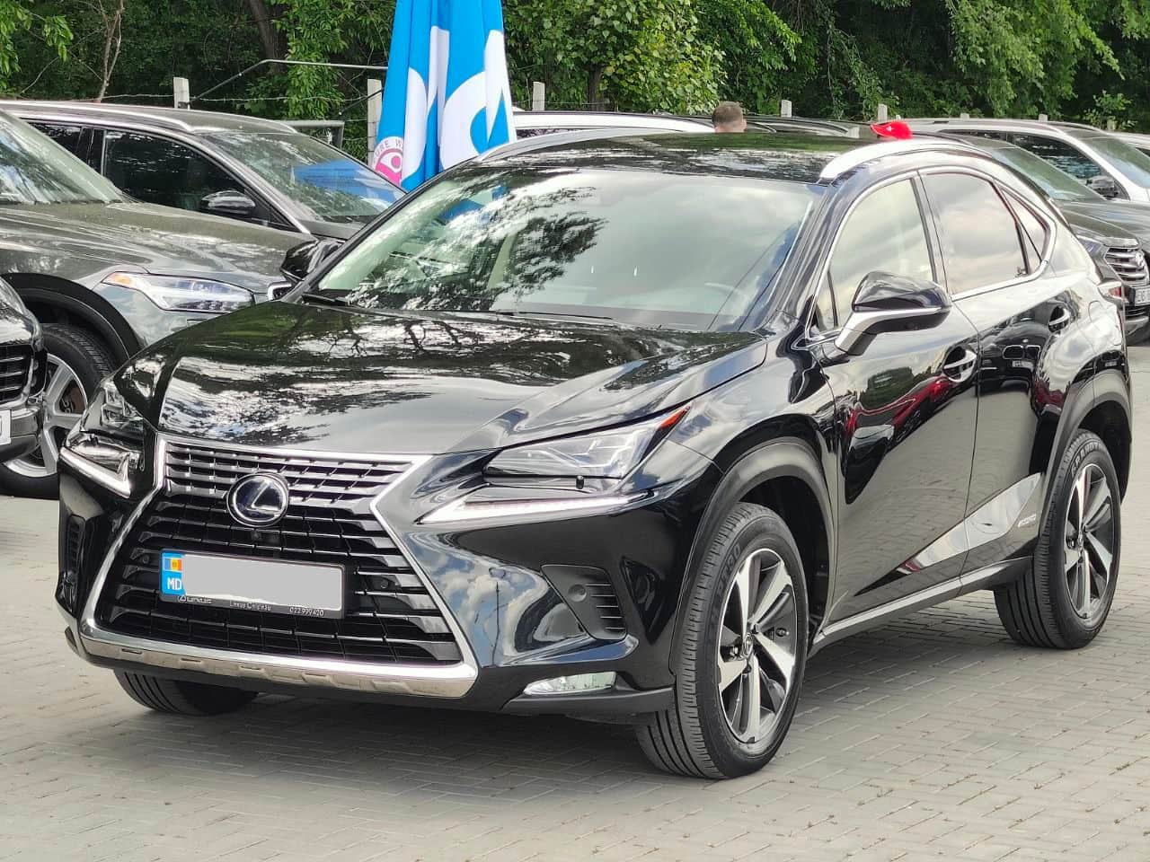 2019 Lexus NX 300H