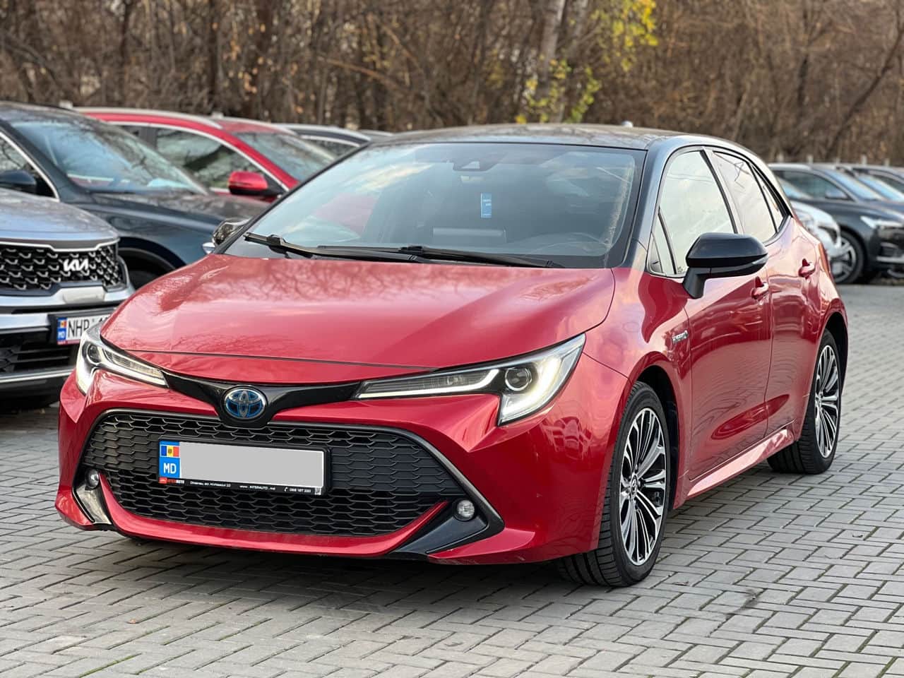 2019 Toyota Corolla