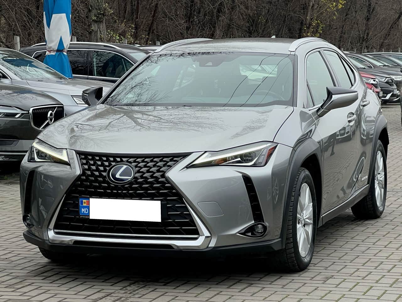 2019 Lexus UX 250h