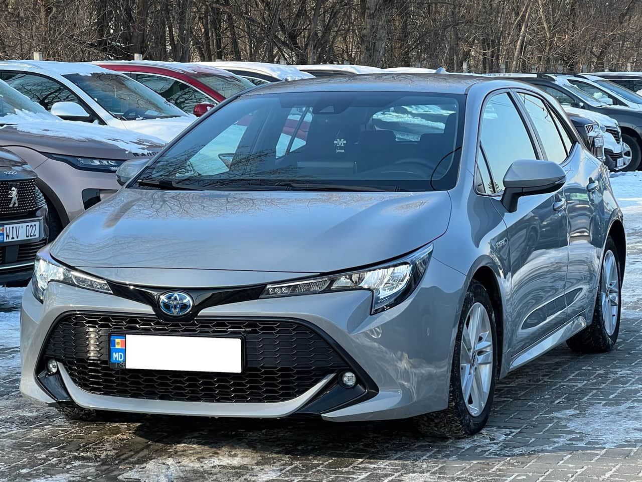 2019 Toyota Corolla