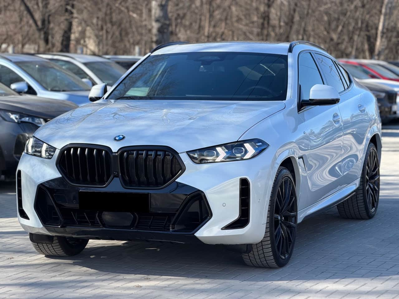 2024 BMW X6 3.0D
