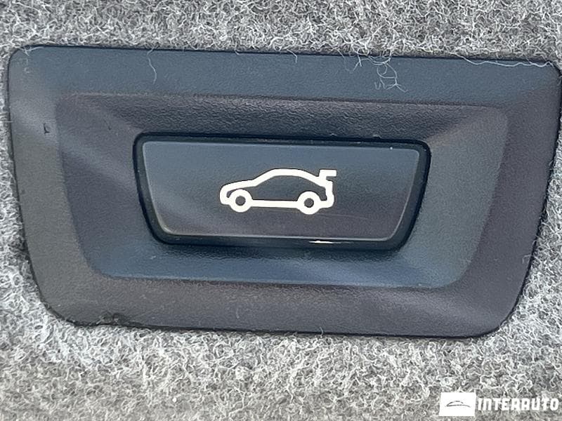 2010 BMW 730 — Miniatură 25