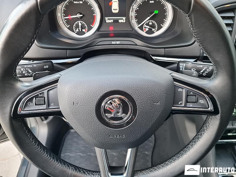 2017 Skoda Karoq — Miniatură 13