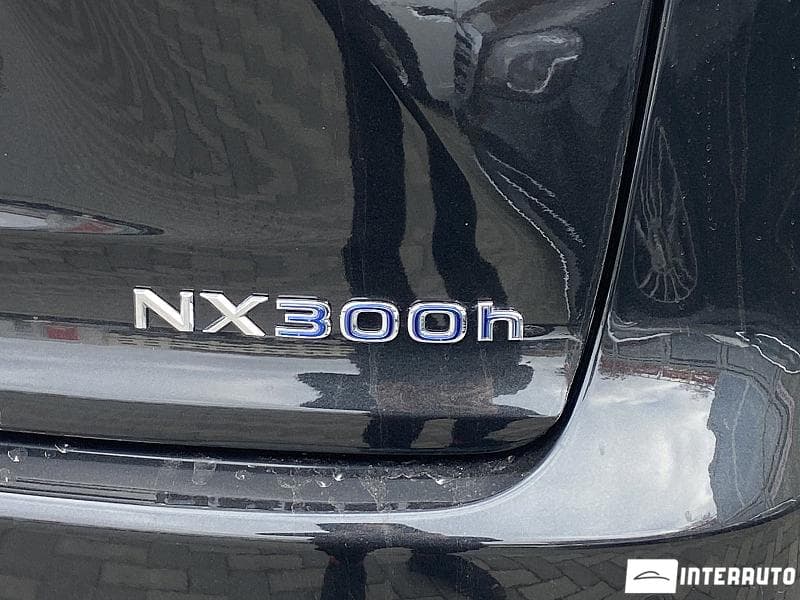 Lexus NX 300H 2015 — Миниатюра 19