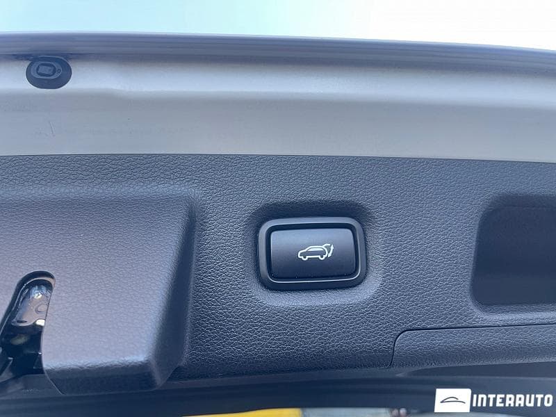 2019 Hyundai Santa Fe — Miniatură 7