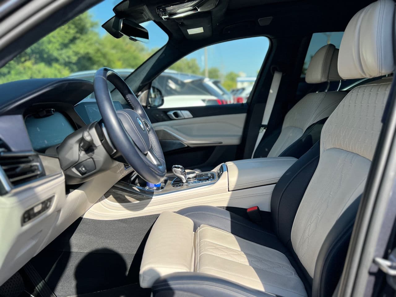 BMW X7 3.0d 2019 — Миниатюра 12