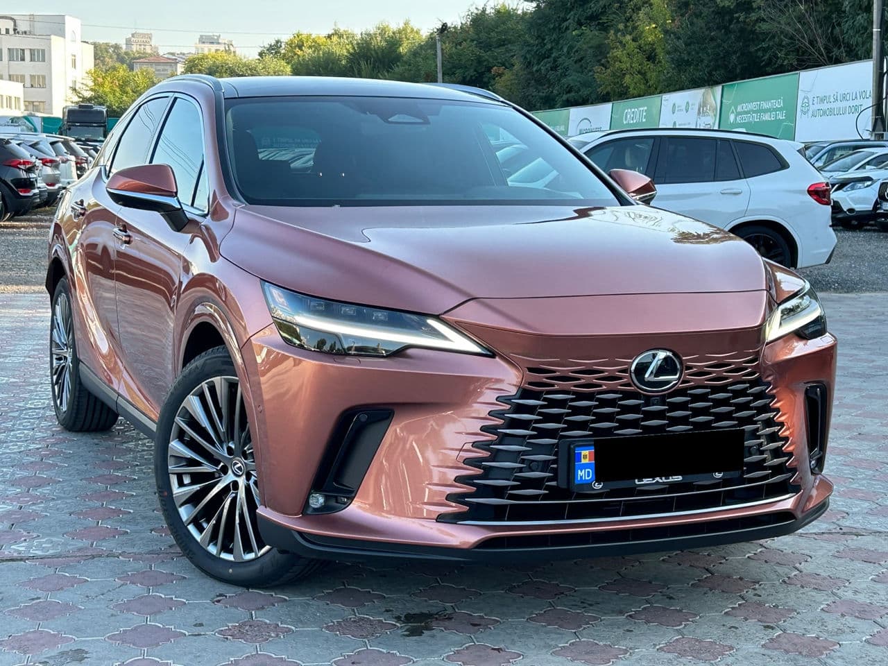 Lexus RX 450h 2023 — Миниатюра 4