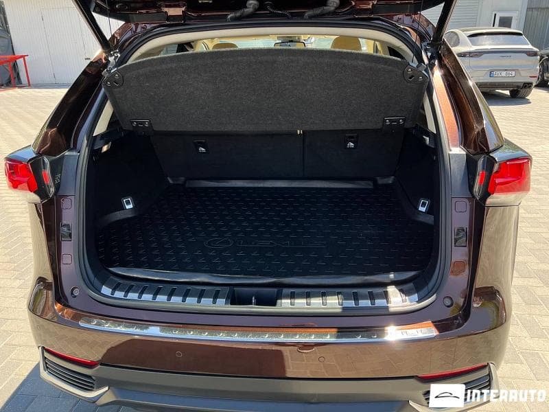 Lexus NX 300H 2019 — Миниатюра 22