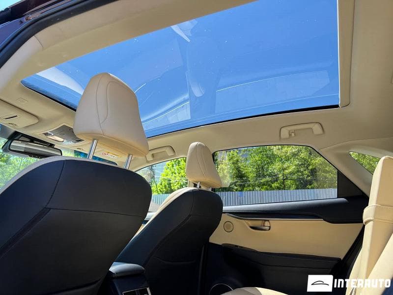 Lexus NX 300H 2019 — Миниатюра 17