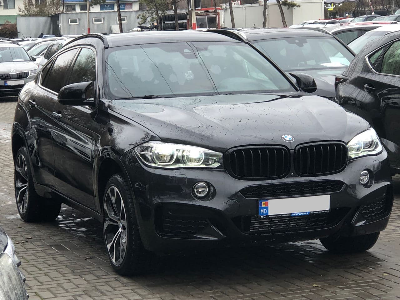 2017 BMW X6 3.5i — Miniatură 3