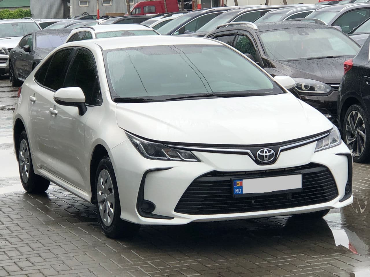 2019 Toyota Corolla — Miniatură 3