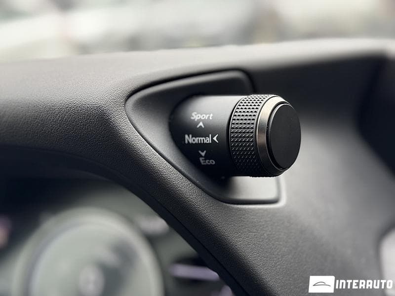 2019 Lexus UX 250h — Miniatură 10