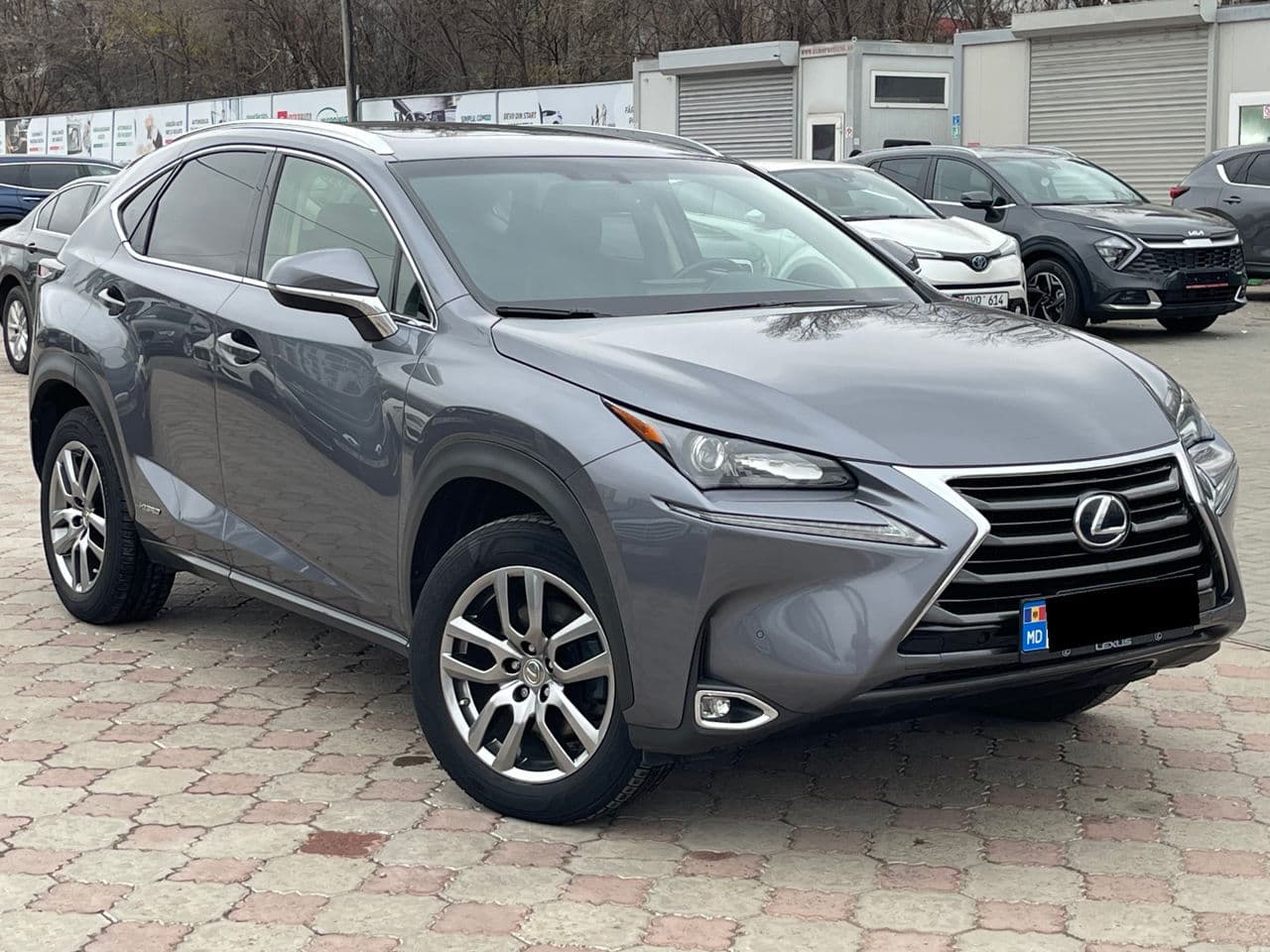 Lexus NX 300H 2016 — Миниатюра 4