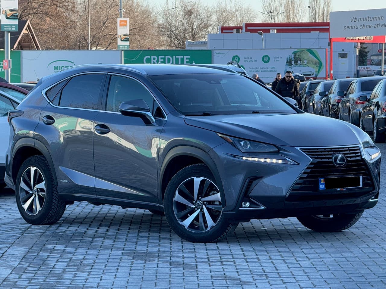 Lexus NX 300H 2018 — Миниатюра 2