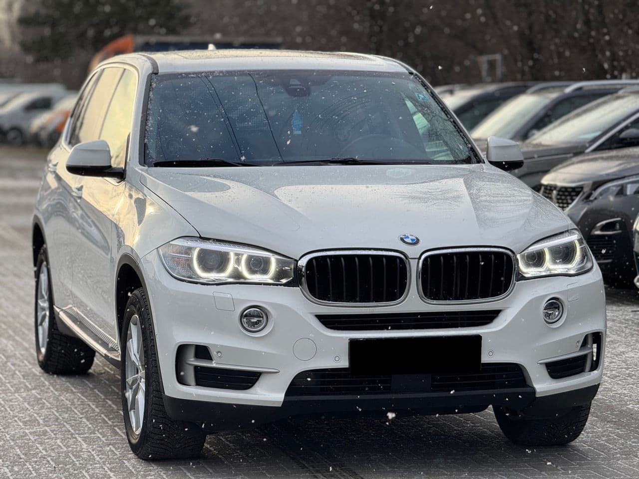 BMW X5 2.5D 2017 — Миниатюра 3
