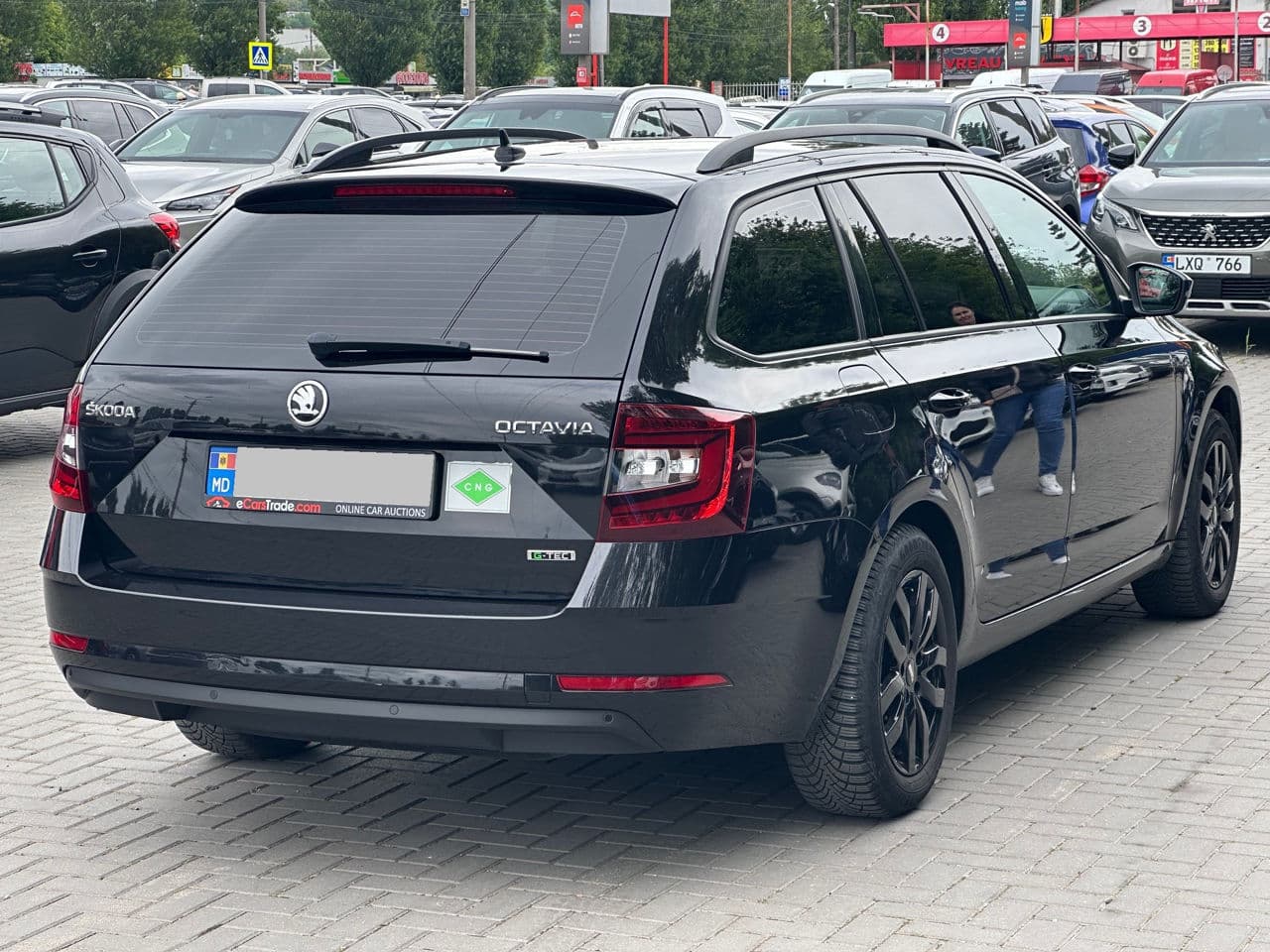 2019 Skoda Octavia — Miniatură 2