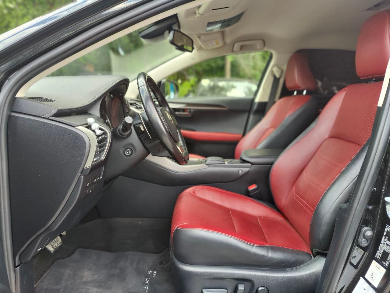 2019 Lexus NX 300H — Miniatură 5