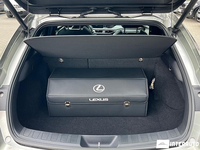 Lexus UX 300e 2021 — Миниатюра 25