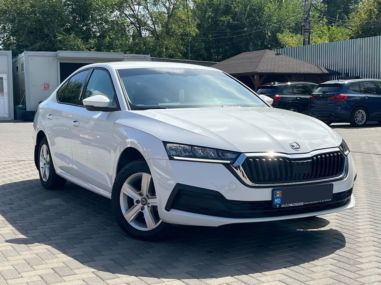 2023 Skoda Octavia — Miniatură 3