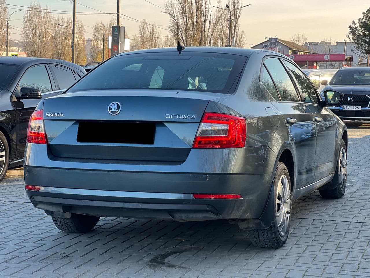 2019 Skoda Octavia — Miniatură 4