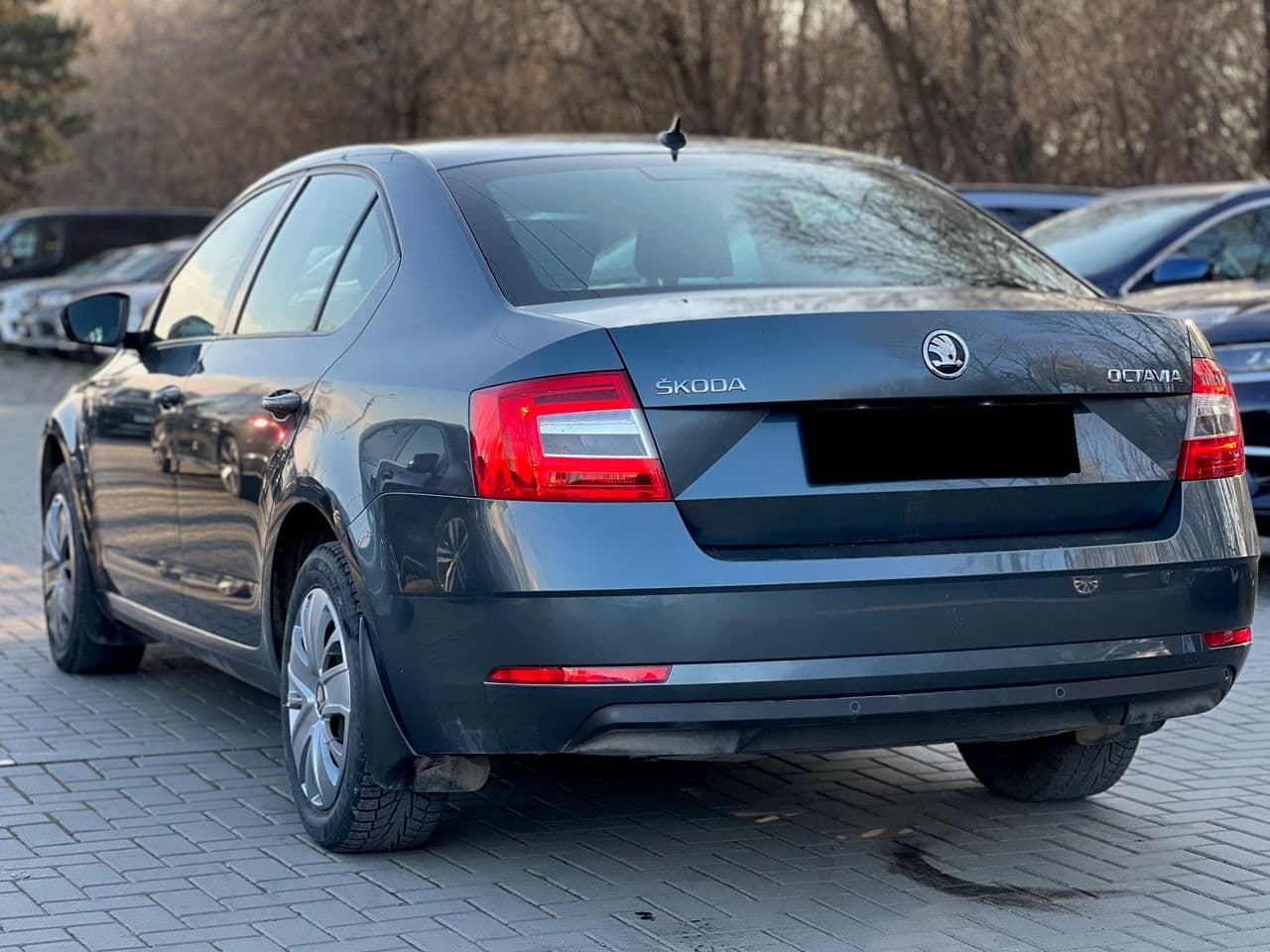 2019 Skoda Octavia — Miniatură 2