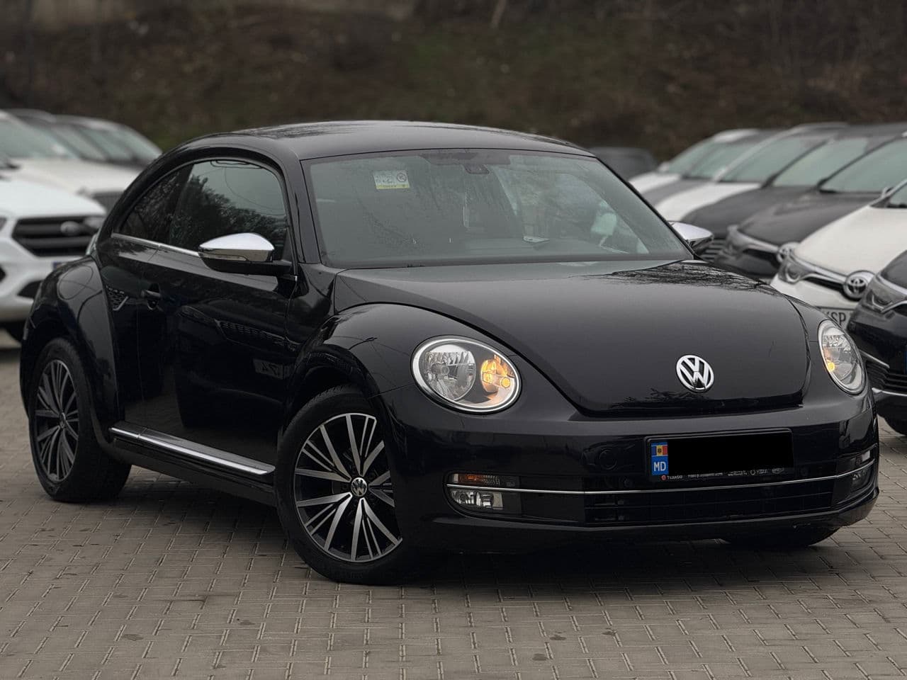 Volkswagen Beetle
