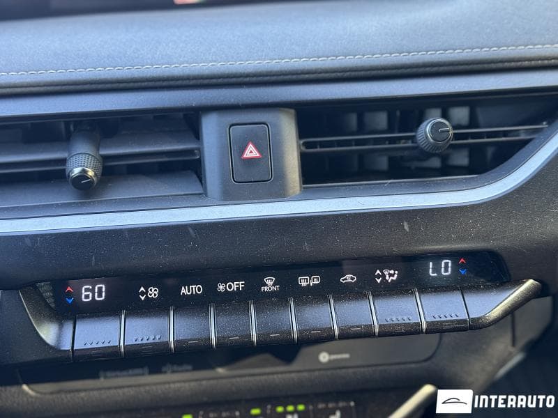 2020 Lexus UX 250h — Miniatură 13