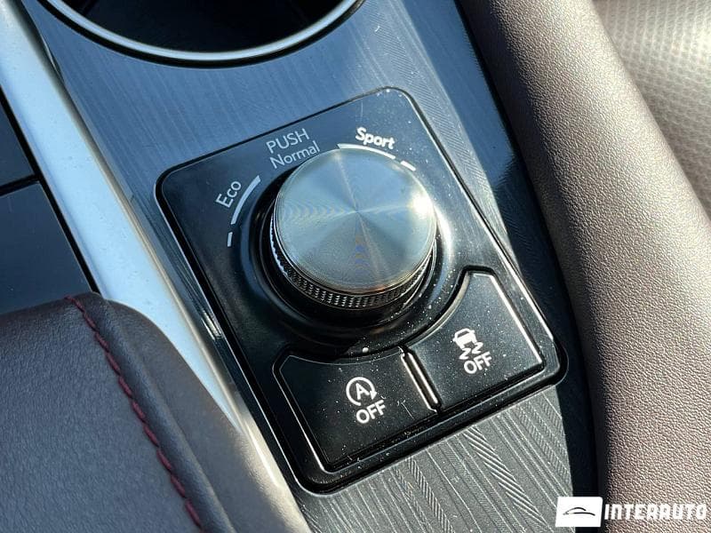 2022 Lexus RX 300 — Miniatură 18