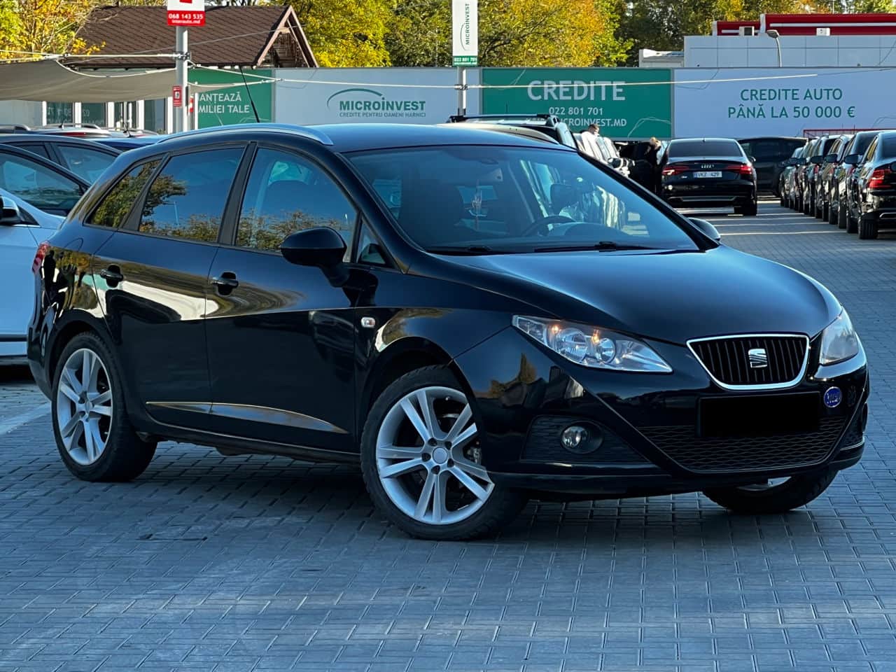 2010 Seat Ibiza