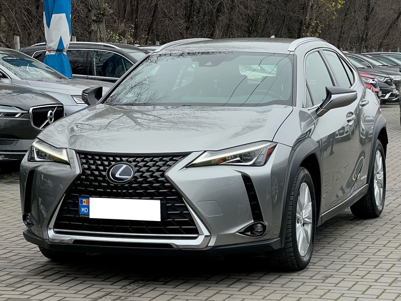 Lexus UX 250h